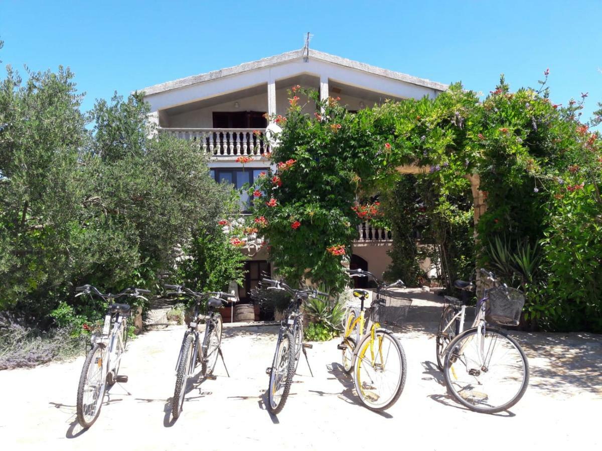 Apartments Marinka Biograd Na Moru Extérieur photo